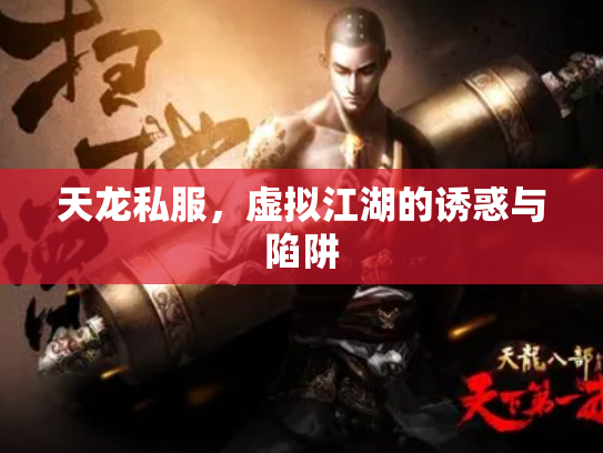 天龙私服，虚拟江湖的诱惑与陷阱