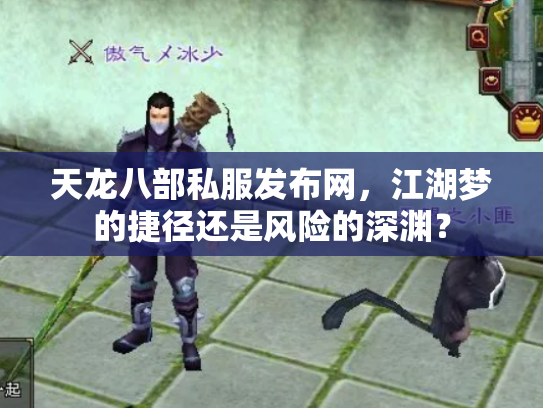 天龙八部私服发布网，江湖梦的捷径还是风险的深渊？