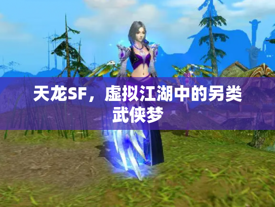 天龙SF，虚拟江湖中的另类武侠梦