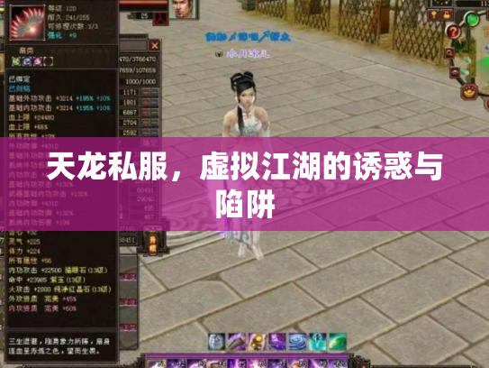 天龙私服，虚拟江湖的诱惑与陷阱