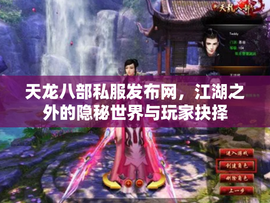 天龙八部私服发布网，江湖之外的隐秘世界与玩家抉择
