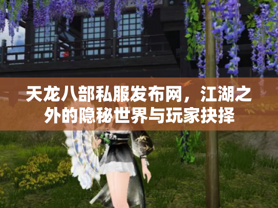 天龙八部私服发布网，江湖之外的隐秘世界与玩家抉择