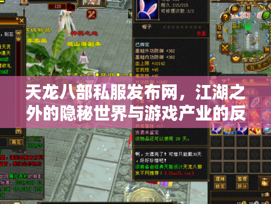 天龙八部私服发布网，江湖之外的隐秘世界与游戏产业的反思