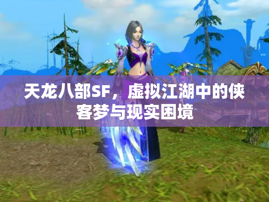 天龙八部SF，虚拟江湖中的侠客梦与现实困境
