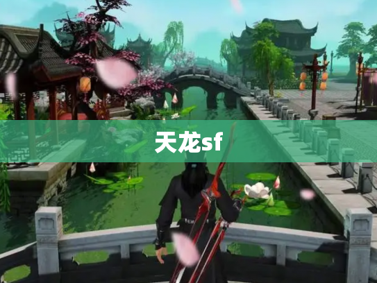 天龙sf