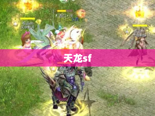 天龙sf