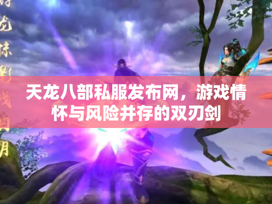 天龙八部私服发布网，游戏情怀与风险并存的双刃剑