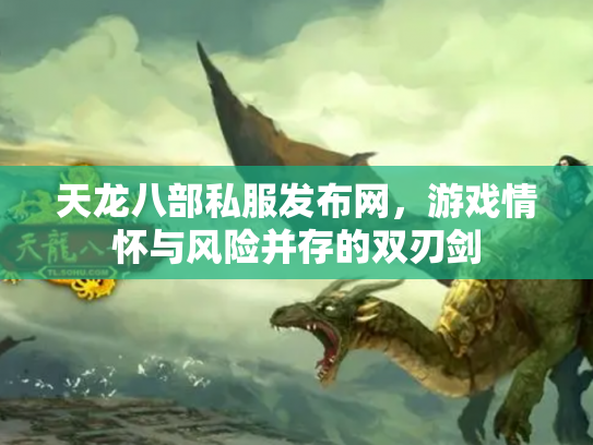 天龙八部私服发布网，游戏情怀与风险并存的双刃剑
