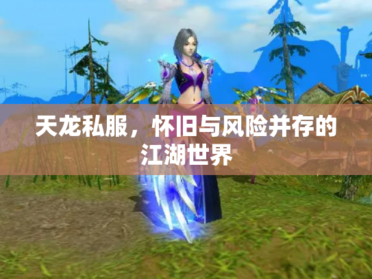 天龙私服，怀旧与风险并存的江湖世界