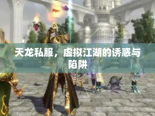 天龙私服，虚拟江湖的诱惑与陷阱