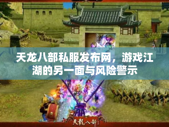 天龙八部私服发布网，游戏江湖的另一面与风险警示