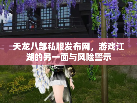 天龙八部私服发布网，游戏江湖的另一面与风险警示