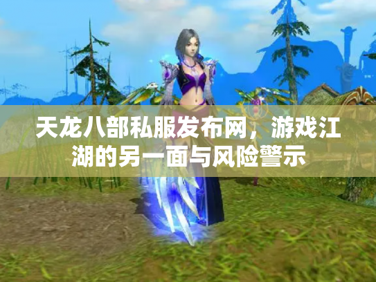 天龙八部私服发布网，游戏江湖的另一面与风险警示