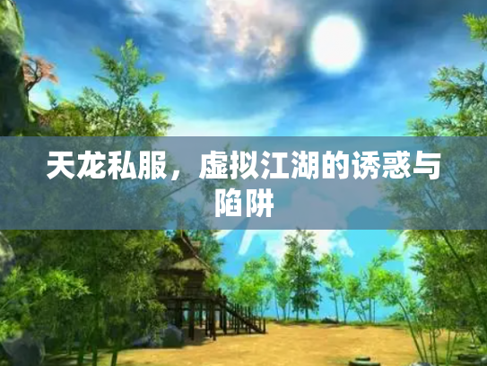 天龙私服，虚拟江湖的诱惑与陷阱