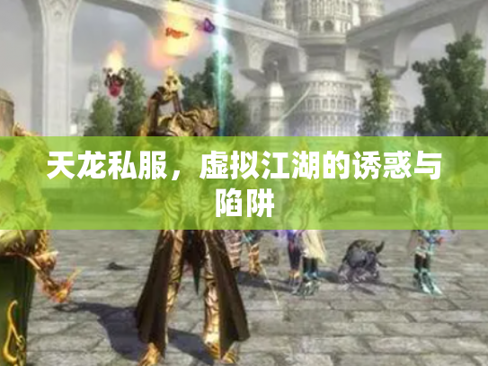 天龙私服，虚拟江湖的诱惑与陷阱