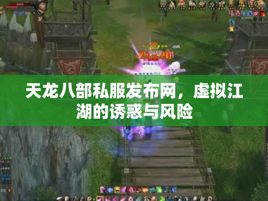 天龙八部私服发布网，虚拟江湖的诱惑与风险