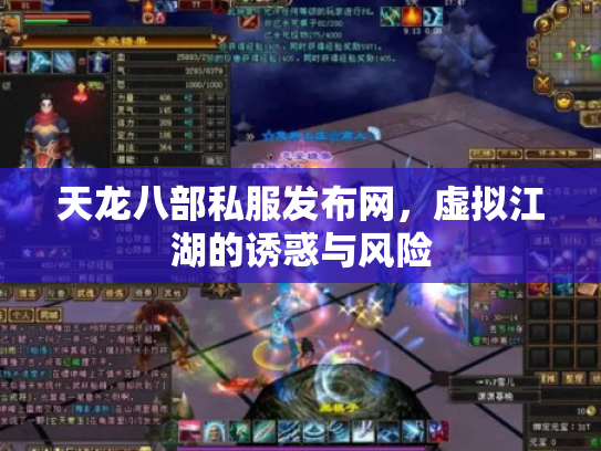 天龙八部私服发布网，虚拟江湖的诱惑与风险