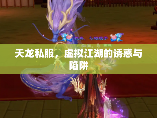 天龙私服，虚拟江湖的诱惑与陷阱