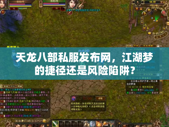 天龙八部私服发布网，江湖梦的捷径还是风险陷阱？