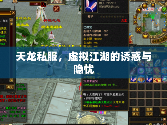 天龙私服，虚拟江湖的诱惑与隐忧