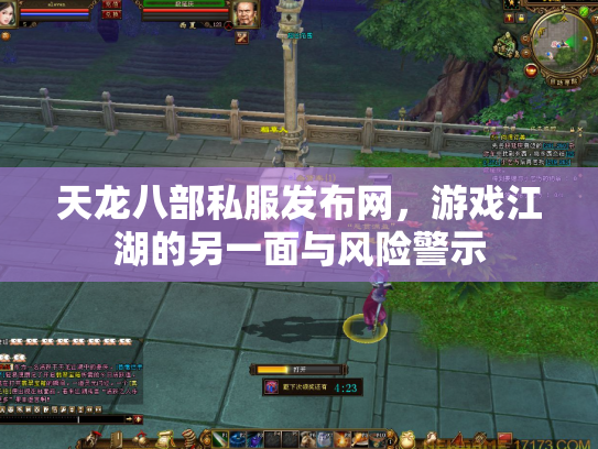天龙八部私服发布网，游戏江湖的另一面与风险警示