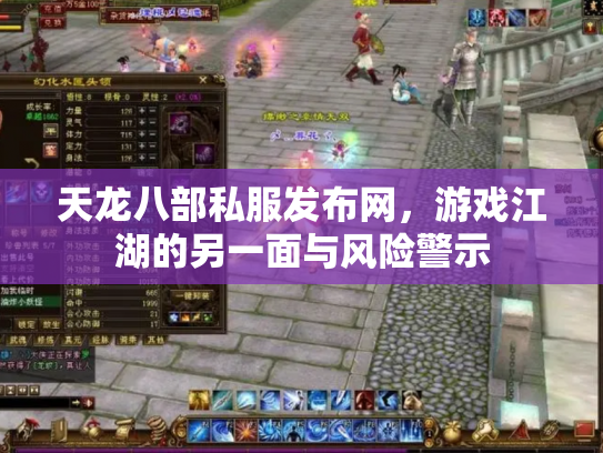 天龙八部私服发布网，游戏江湖的另一面与风险警示
