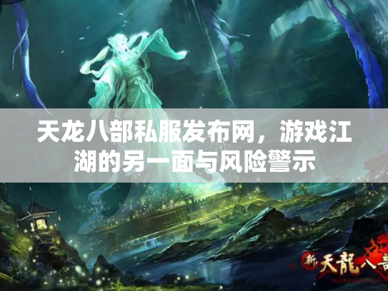 天龙八部私服发布网，游戏江湖的另一面与风险警示