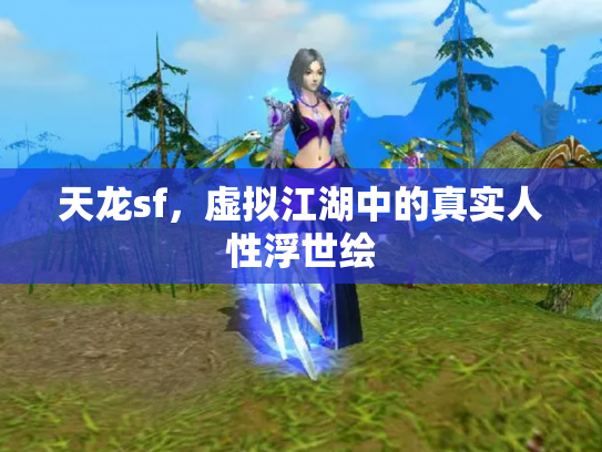 天龙sf，虚拟江湖中的真实人性浮世绘