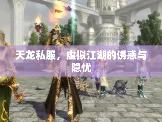 天龙私服，虚拟江湖的诱惑与隐忧