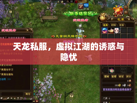 天龙私服，虚拟江湖的诱惑与隐忧