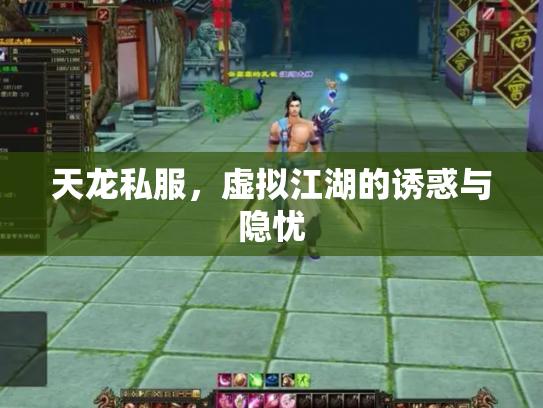天龙私服，虚拟江湖的诱惑与隐忧