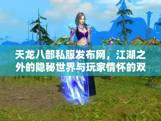 天龙八部私服发布网，江湖之外的隐秘世界与玩家情怀的双重奏