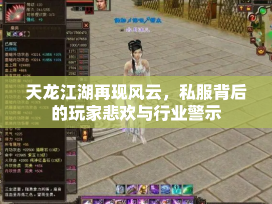天龙江湖再现风云，私服背后的玩家悲欢与行业警示