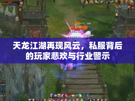 天龙江湖再现风云，私服背后的玩家悲欢与行业警示