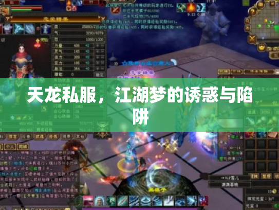 天龙私服，江湖梦的诱惑与陷阱