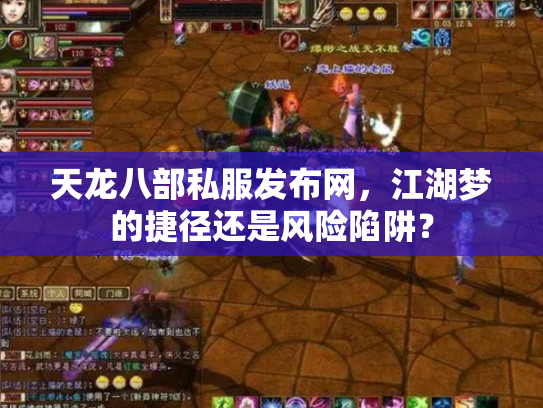 天龙八部私服发布网，江湖梦的捷径还是风险陷阱？