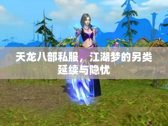天龙八部私服，江湖梦的另类延续与隐忧
