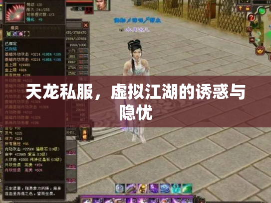 天龙私服，虚拟江湖的诱惑与隐忧