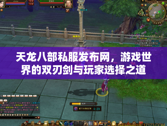 天龙八部私服发布网，游戏世界的双刃剑与玩家选择之道