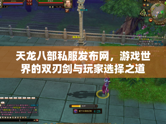天龙八部私服发布网，游戏世界的双刃剑与玩家选择之道