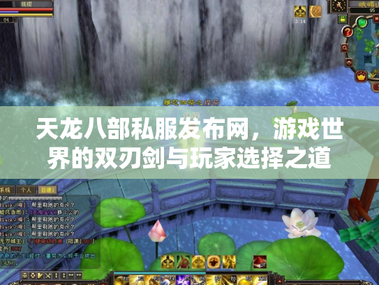 天龙八部私服发布网，游戏世界的双刃剑与玩家选择之道
