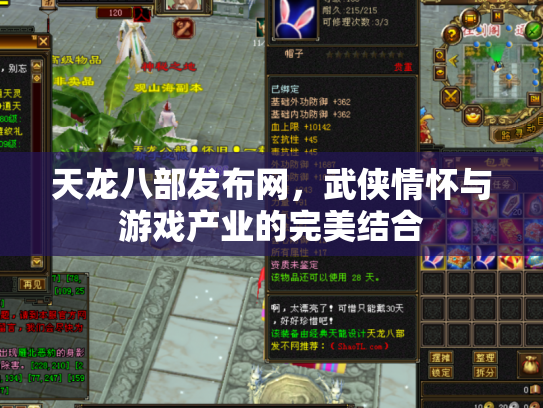 天龙八部发布网，武侠情怀与游戏产业的完美结合