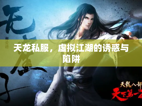 天龙私服，虚拟江湖的诱惑与陷阱