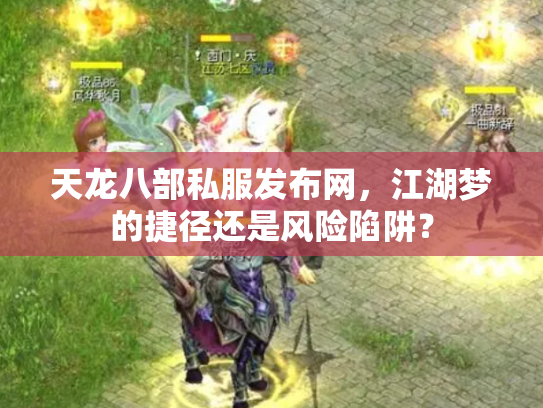 天龙八部私服发布网，江湖梦的捷径还是风险陷阱？