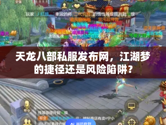 天龙八部私服发布网，江湖梦的捷径还是风险陷阱？