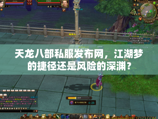 天龙八部私服发布网，江湖梦的捷径还是风险的深渊？