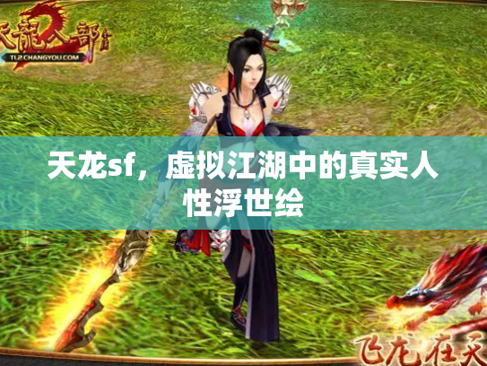 天龙sf，虚拟江湖中的真实人性浮世绘