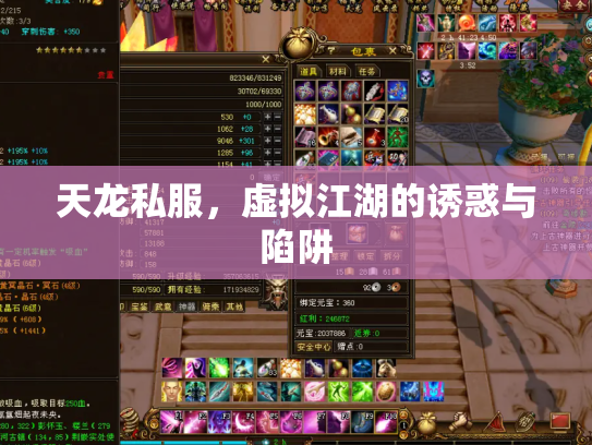 天龙私服，虚拟江湖的诱惑与陷阱