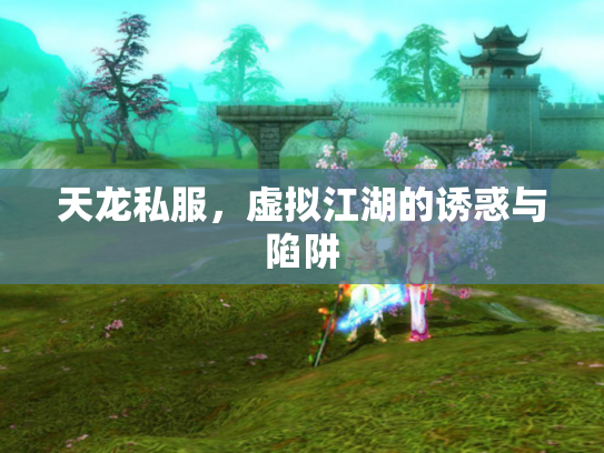 天龙私服，虚拟江湖的诱惑与陷阱