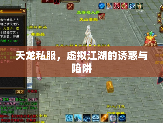 天龙私服，虚拟江湖的诱惑与陷阱